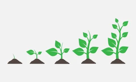 Plants growing in the ground. Vector illustration. 스톡 일러스트