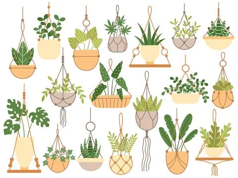 Plants in hanging pots. Decorative macrame handmade hangers for flower pot,.. Stock-Illustration