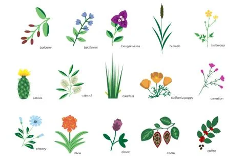 Plants icons collection Stock-Illustration