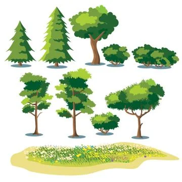 Plants Stock Illustration