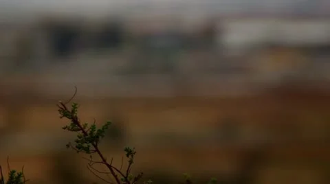 From Plants to Industry- Changing Focus Stock Footage 10825357