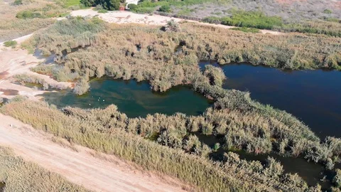 Plants in the Lake, Drone Shot Stock Footage 129544707