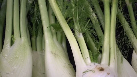 Porrum Stock Video Footage | Royalty Free Porrum Videos | Pond5