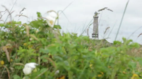 Plants with lighthouse in the background. Focus change Stock Footage 35431182