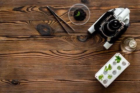 Plants with microscope in scientific laboratory. Top view Stock Photos
