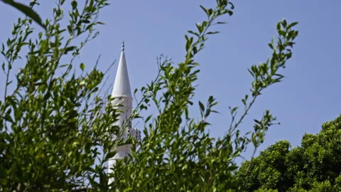 Plants move with the wind in front of a spire Stock Footage 267483798