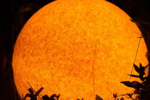 Plants at night Stock Photos