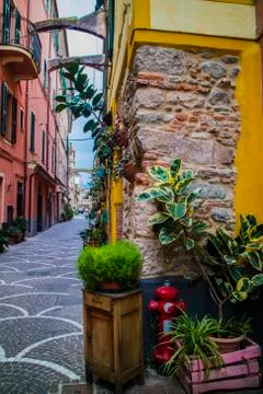 Plants in the Old Town Streets Stock Photos