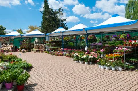 Plants in park Stock Photos