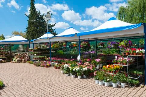 Plants in park Stock Photos