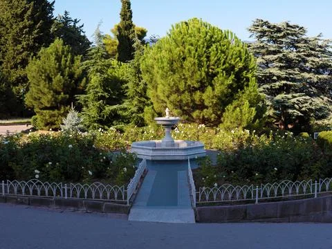 Plants in the park Stock Photos