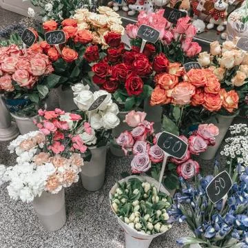 Plants 스톡 사진