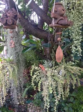 Plants Fotos de archivo