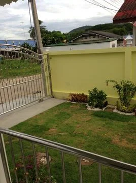 Plants Fotos de archivo