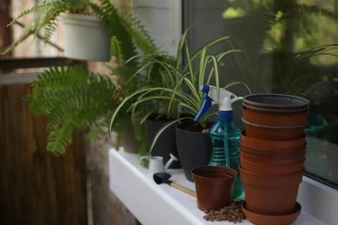 Plants Stock Photos