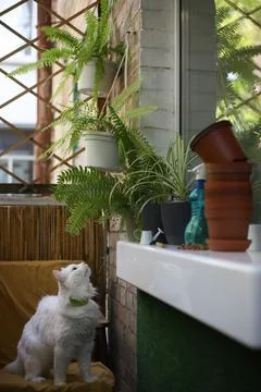 Plants Foto stock