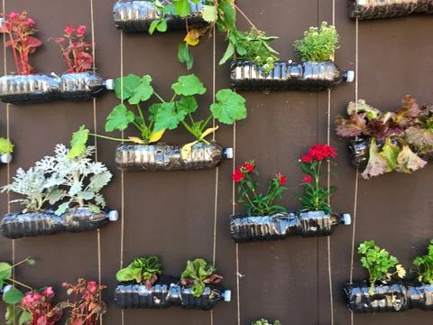 Plants in plastic bottles installation close up Stock Photos