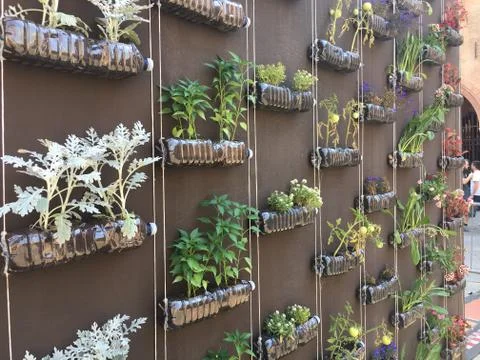 Plants in plastic bottles installation Foto stock