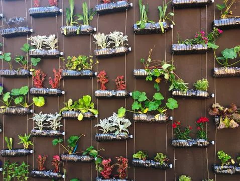 Plants in plastic bottles Foto stock