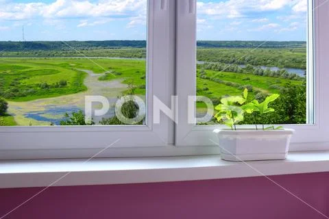 Plants in the pot on the window-sill and view to the landscape Stock Photos