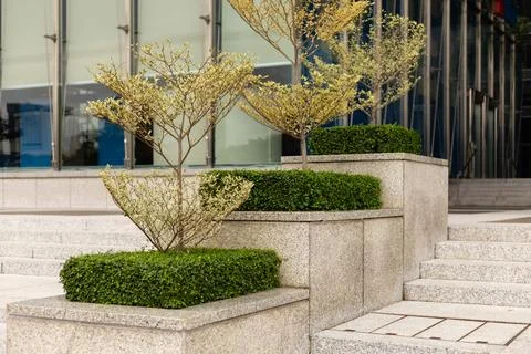 Plants in rectangular pots are arranged along stone steps outside a modern bu Stock Photos