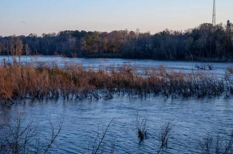 Plants in the river below a dam Stock Photos