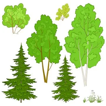 Plants, set Stock Illustration