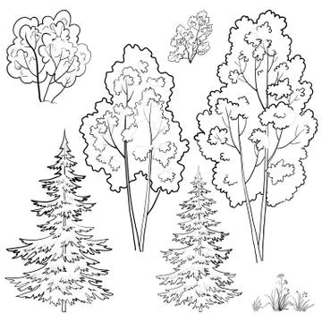 Plants, set, outline Stock Illustration