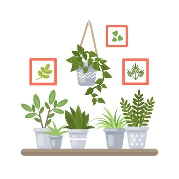 Plants on shelf. Stock Illustration
