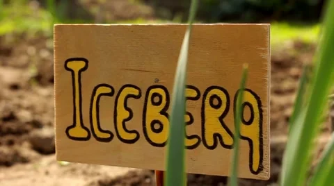 Plant's sign. iceberg Stock Footage 62931686