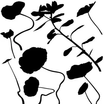 Plants Silhouettes Stock Illustration