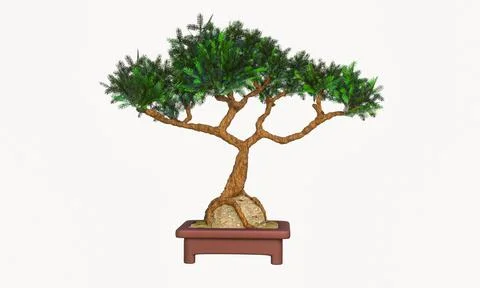 Plants in small pots or bonsai embrace rocks. Terracotta pots and bending p.. Stock Illustration