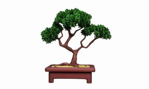 Plants in small pots or bonsai. Terracotta pots and perm plants. Curved pin.. Stock Illustration