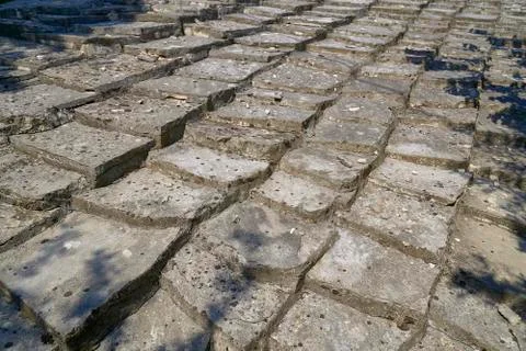 Plants in a stone wall Stock Photos
