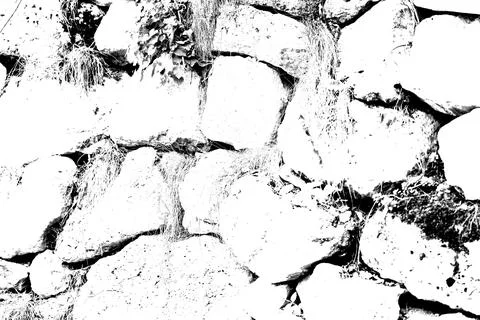 Plants on the stones Illustrazione stock