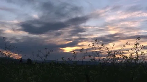 Plants sunset tracking 005 by dwking Video stock 11240547