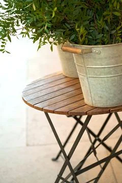 Plants on a table Stock Photos