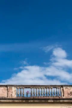 Plants take over Stock Photos