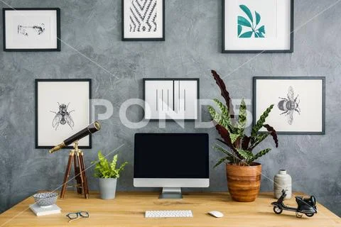 Plants, telescope and computer desktop on wooden desk in work area interior w Stock Photos