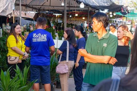 Plants, various types of trees, Thai food festival, people, visiting to see.. Stock Photos