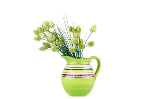 Plants in vase Stock Photos