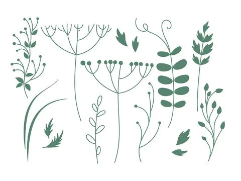 Plants vector set. Linear green on white doodle sketch. Leaves, branches, grass Illustrazione stock
