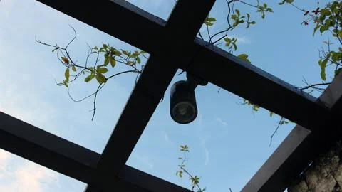 Plants on the wall with beautiful clouds in the background Stock-Fotos