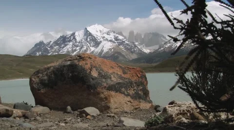Plants waved by the wind in the Torres del Paine National park, Chile. Video stock 49296564