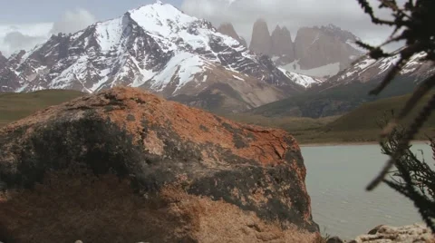 Plants waved by the wind in the Torres del Paine National park, Chile. Stock Footage 49296727