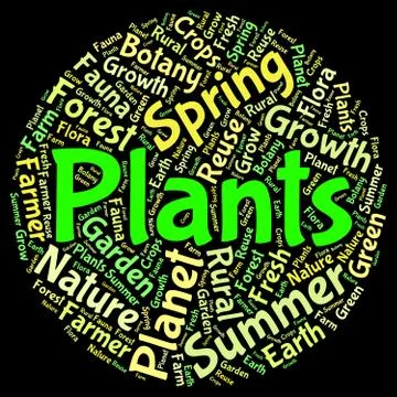 Plants Word Means Herbage Text And Botanical Stock Illustration