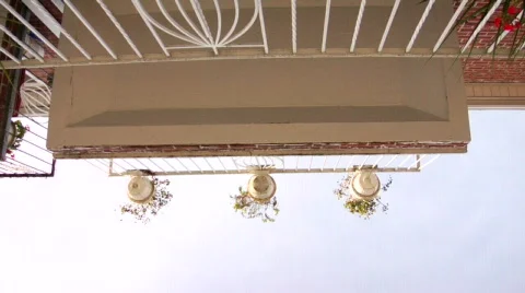 Plants1 balcony  Stock Footage 196506