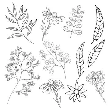 Plantsdoodle Stock Illustration
