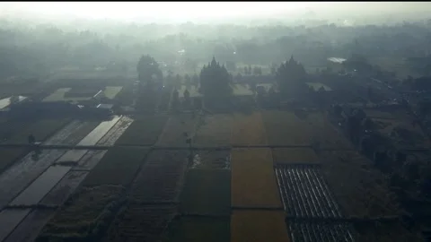 Plaosantemple 動画素材 178374561