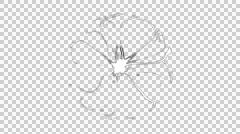 Plasma Ball Video stock 50390436